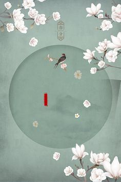 我的瑜伽教练韩剧免费完整版